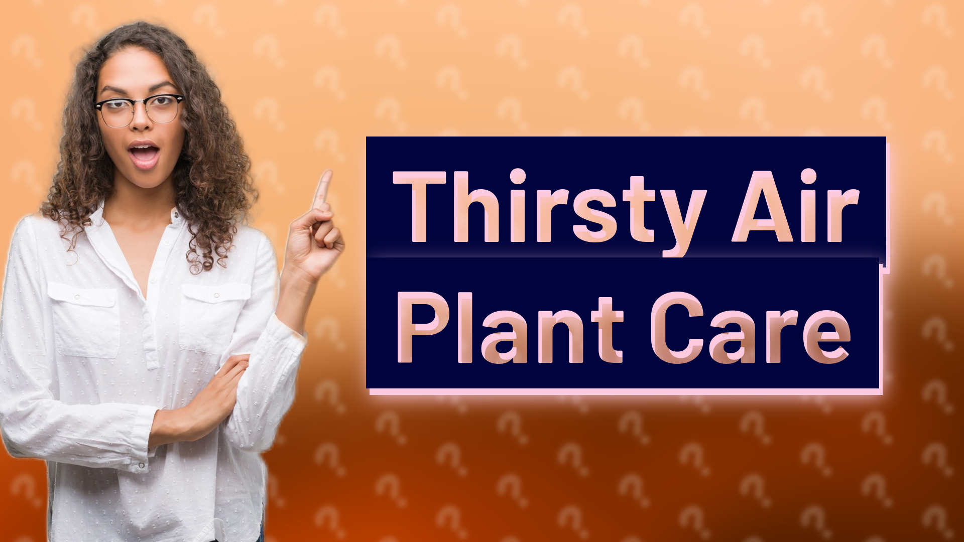Thirsty Air Plant Care