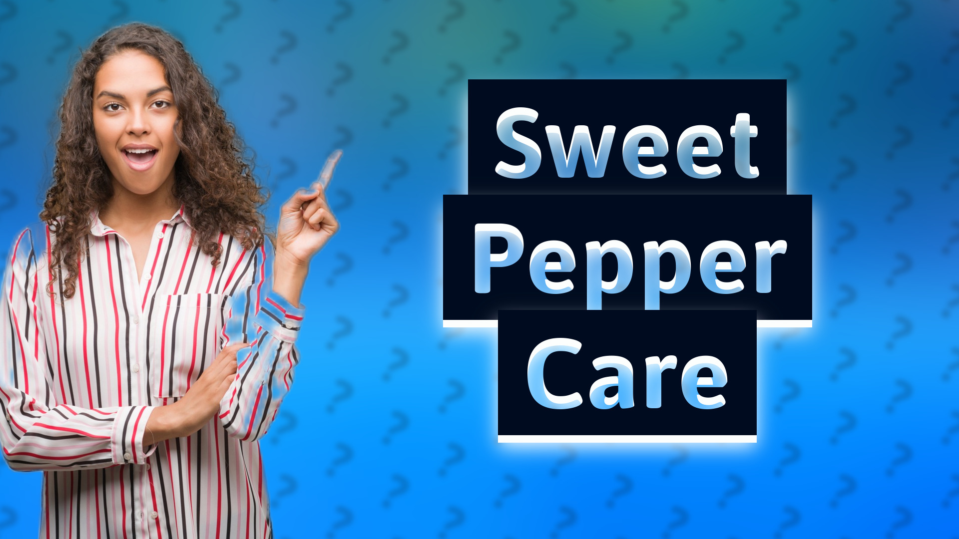 Sweet Pepper Care