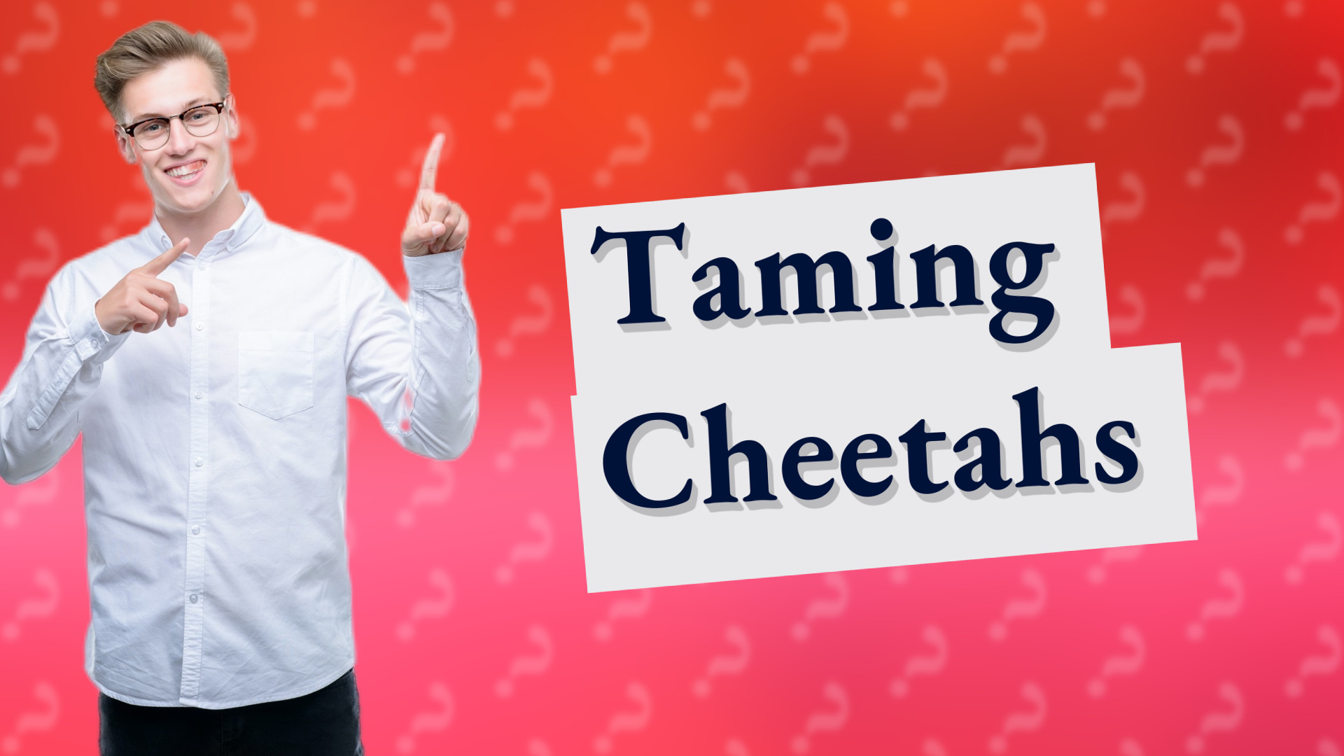 Taming Cheetahs