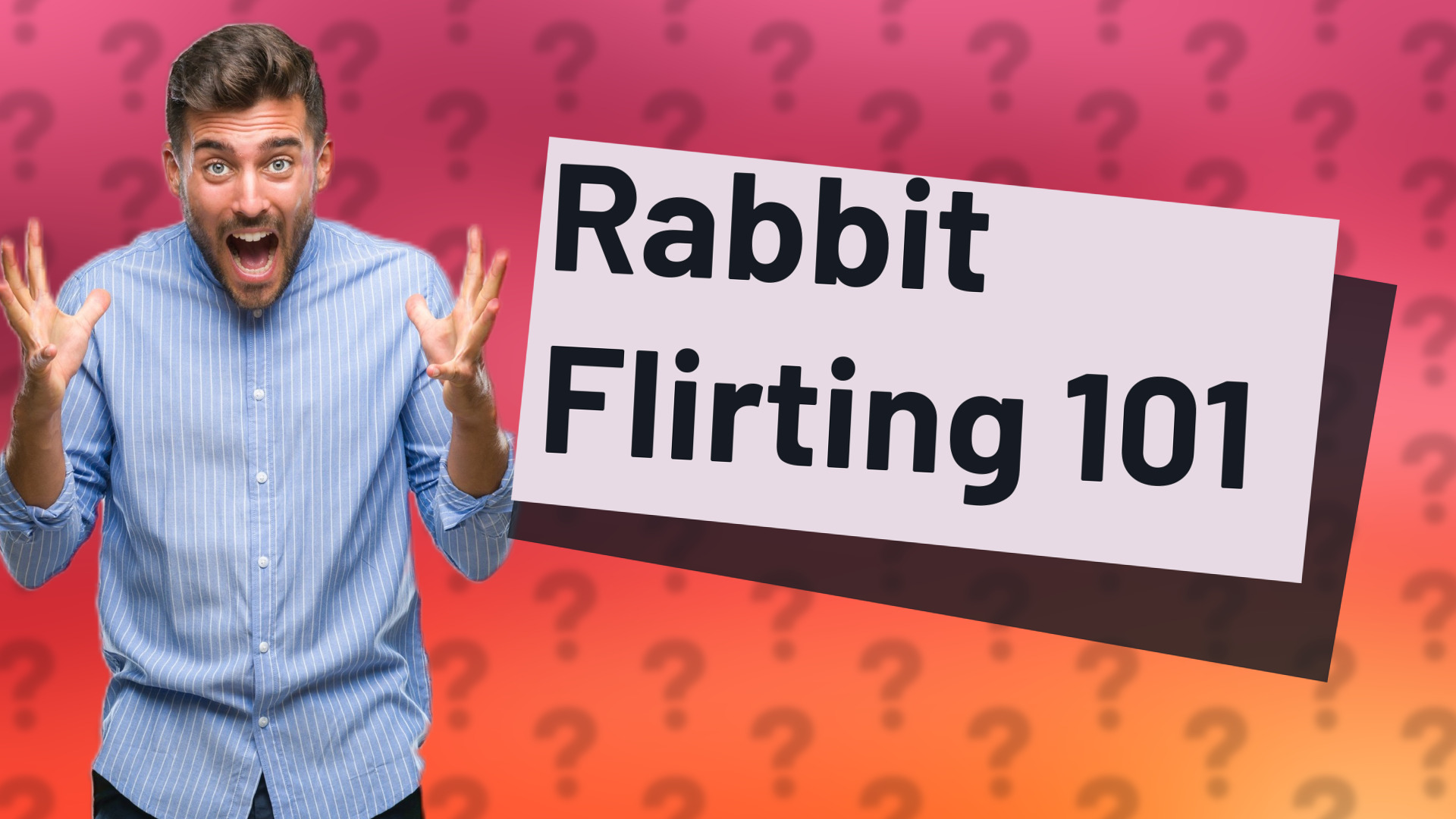 Rabbit Flirting 101