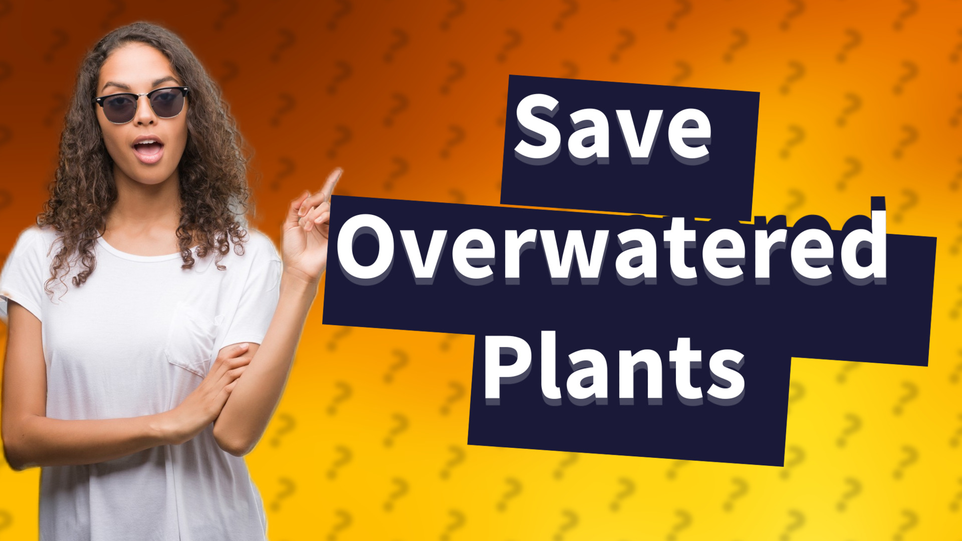 Save Overwatered Plants