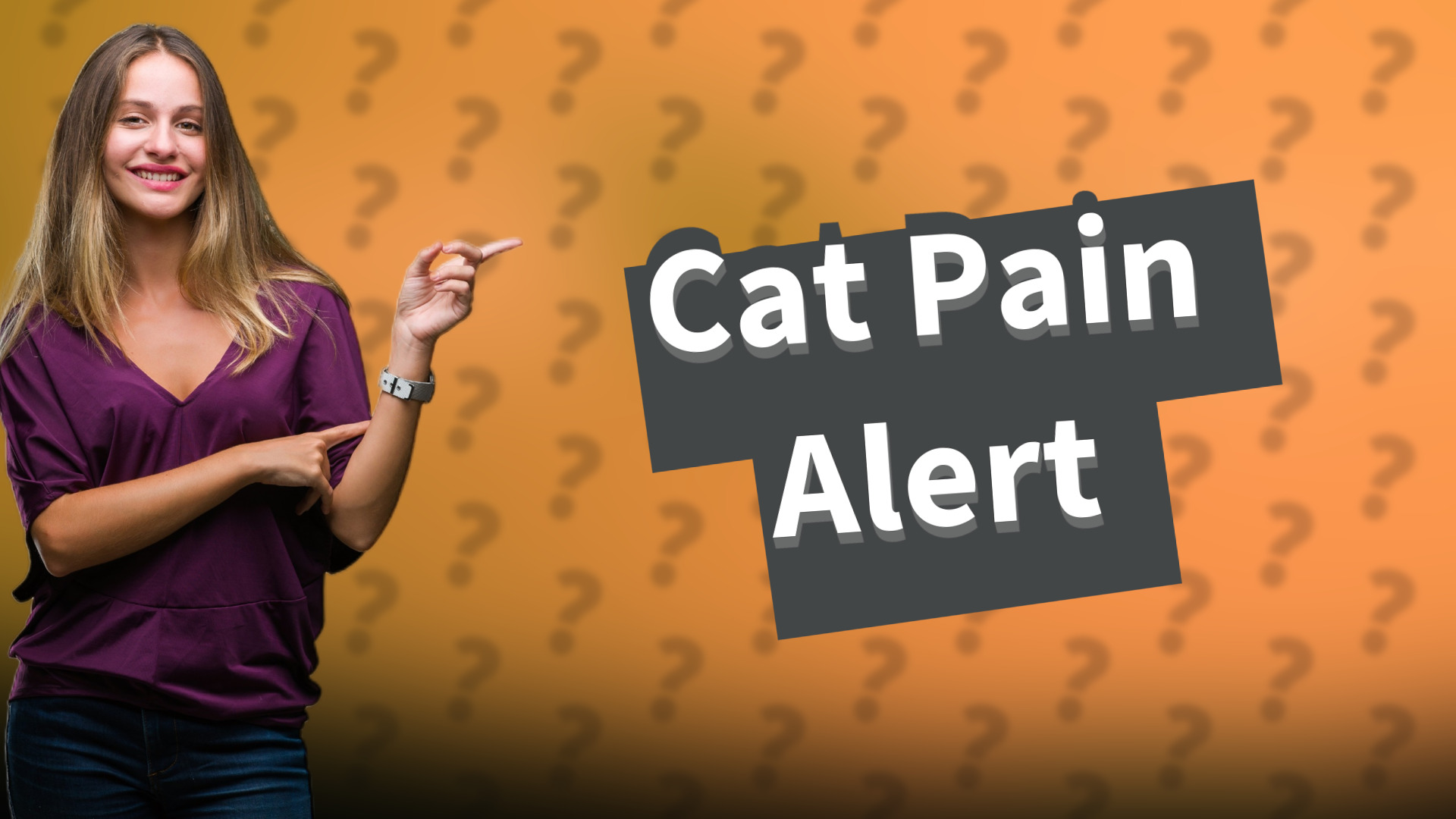Cat Pain Alert
