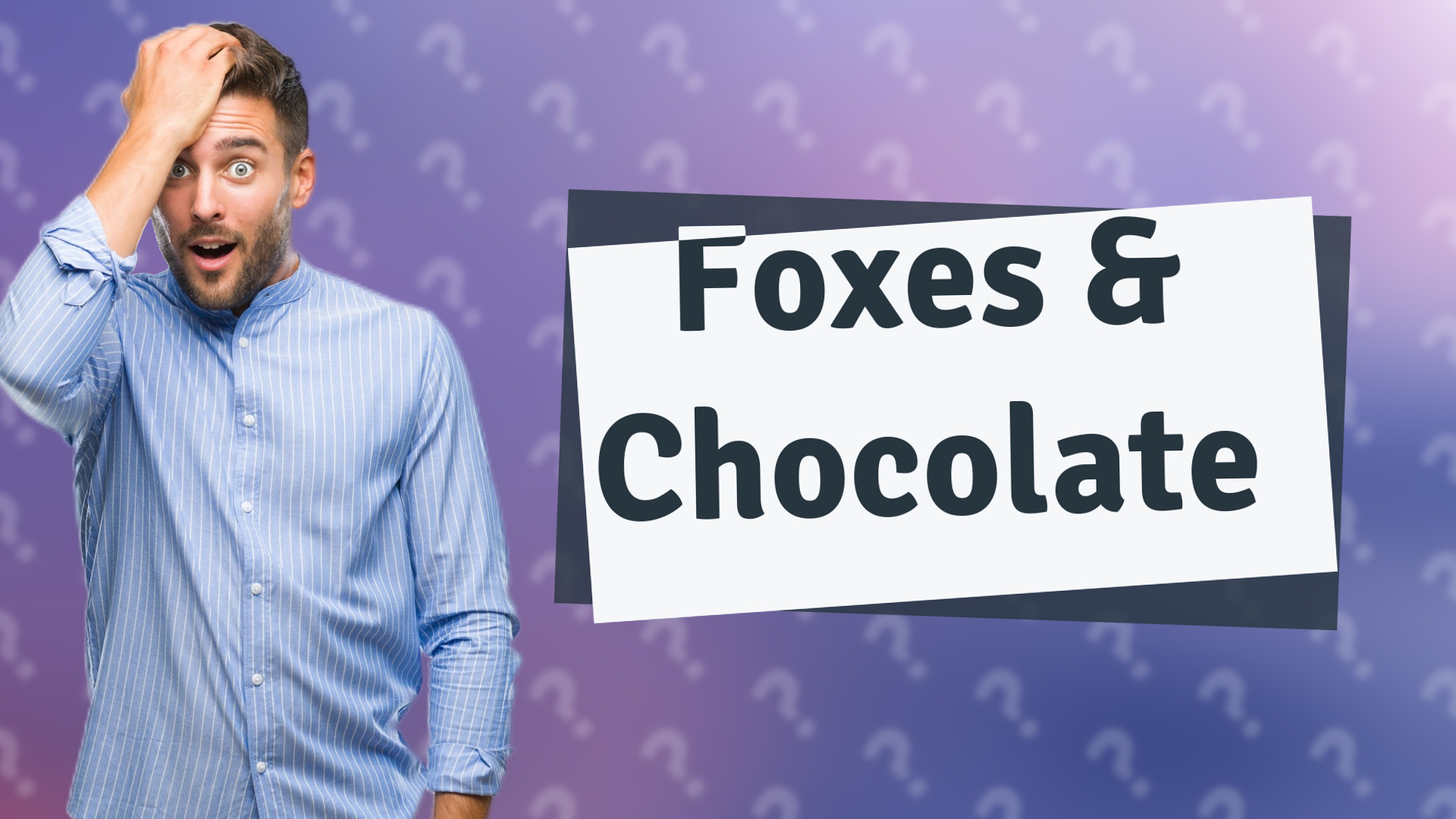 Foxes & Chocolate
