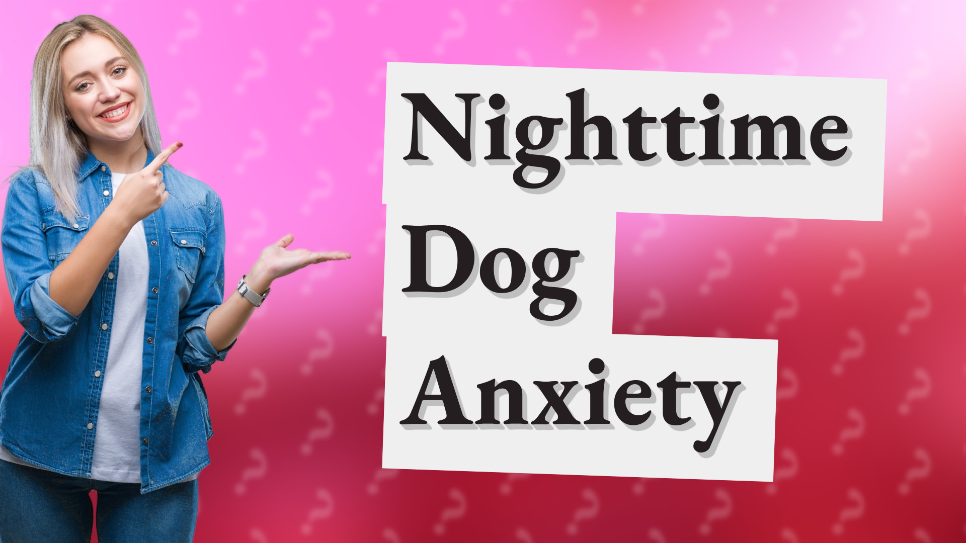 Nighttime Dog Anxiety