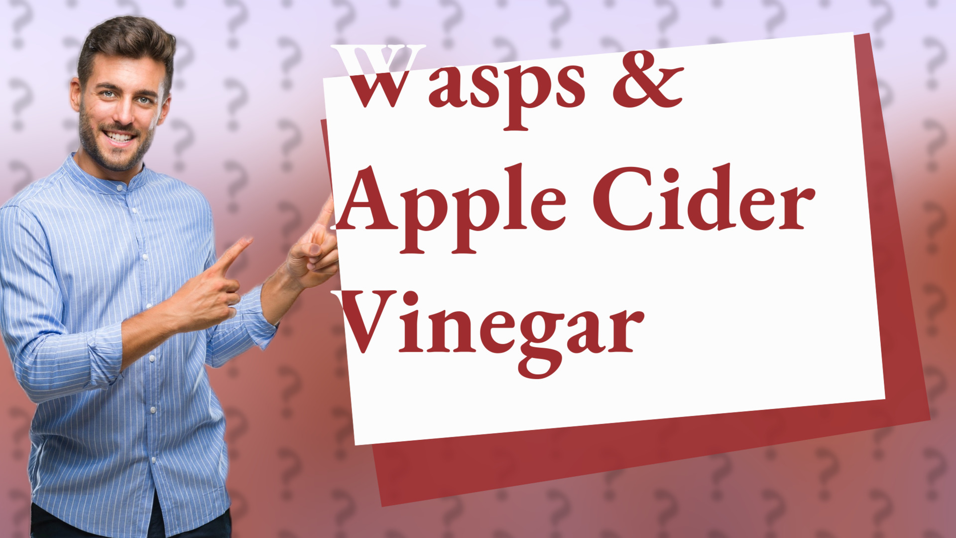 Wasps & Apple Cider Vinegar