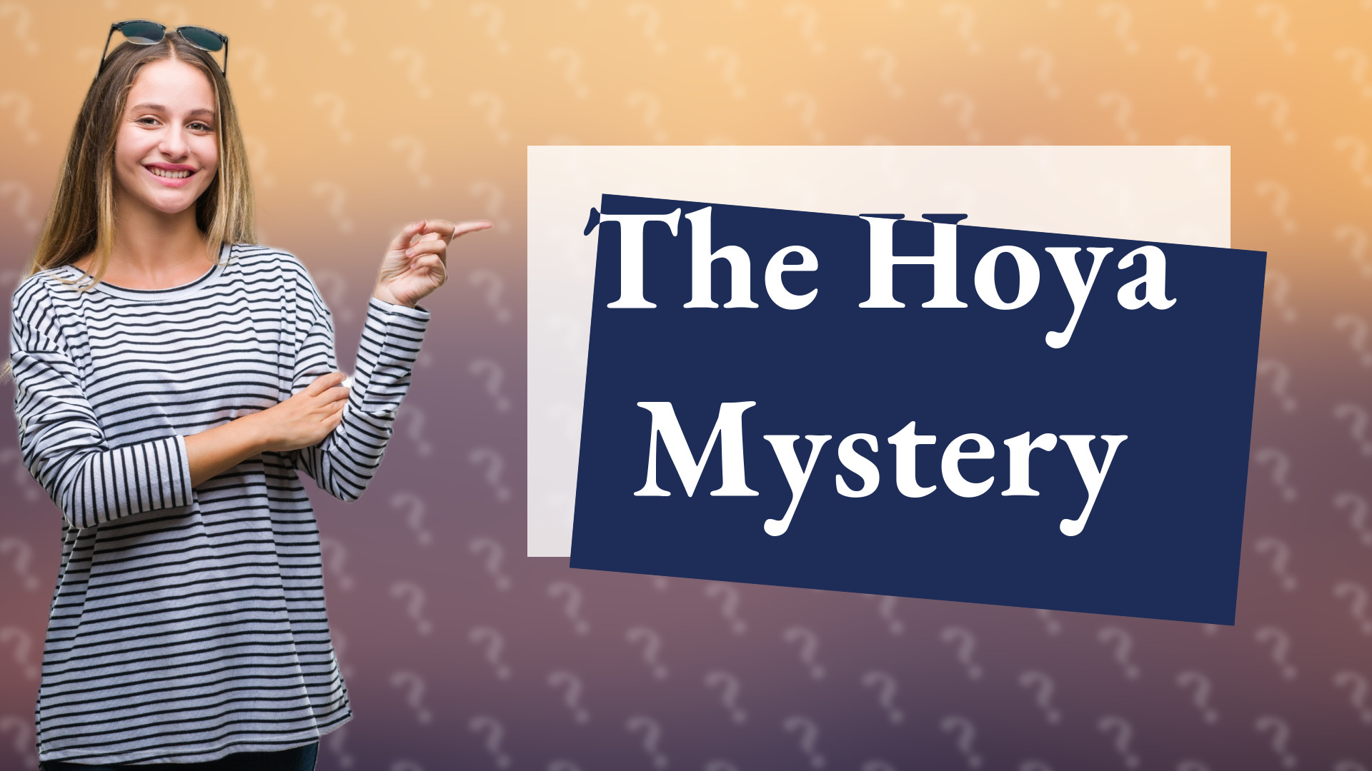 The Hoya Mystery