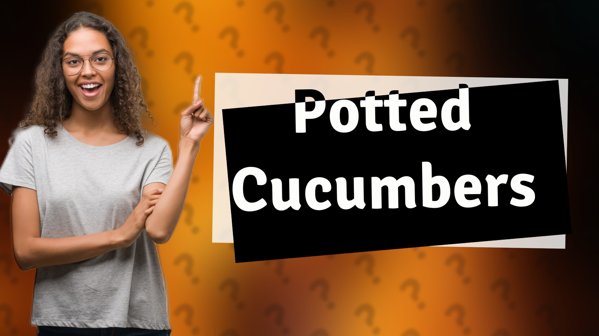 Potted Cucumbers