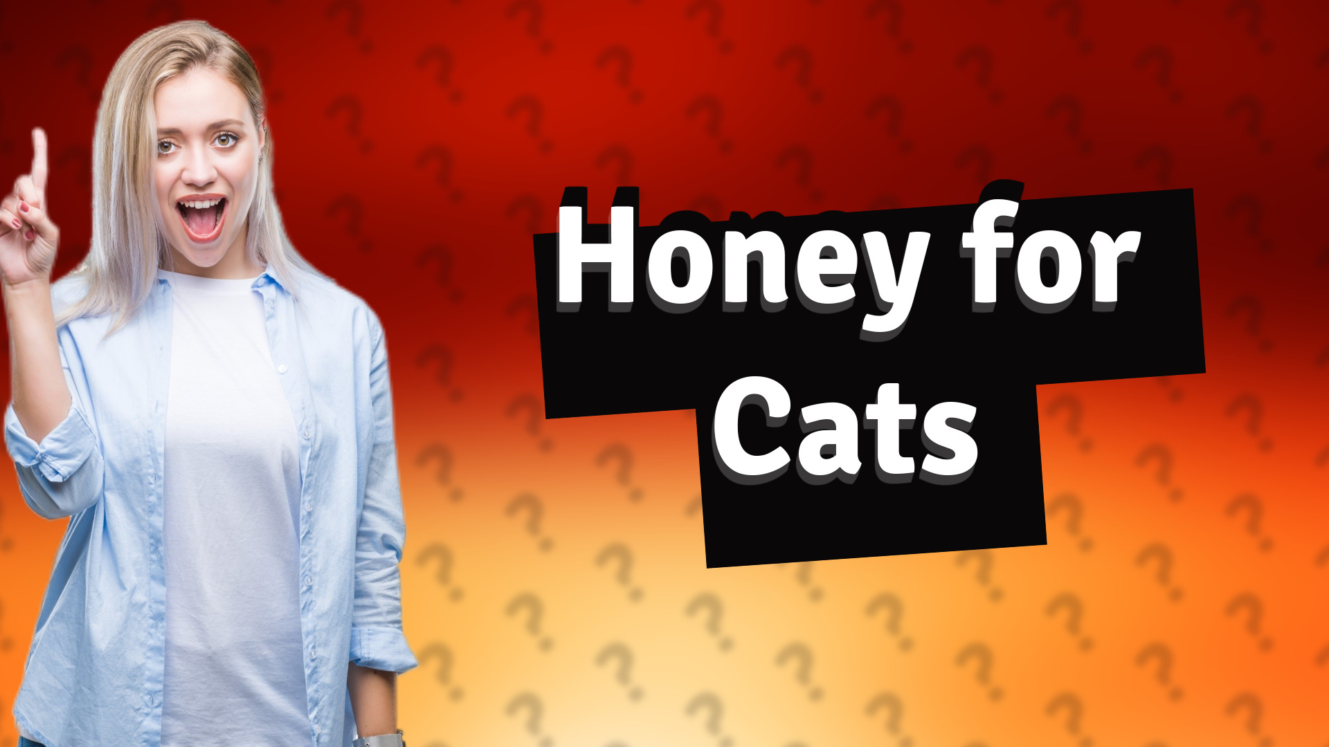 Honey for Cats