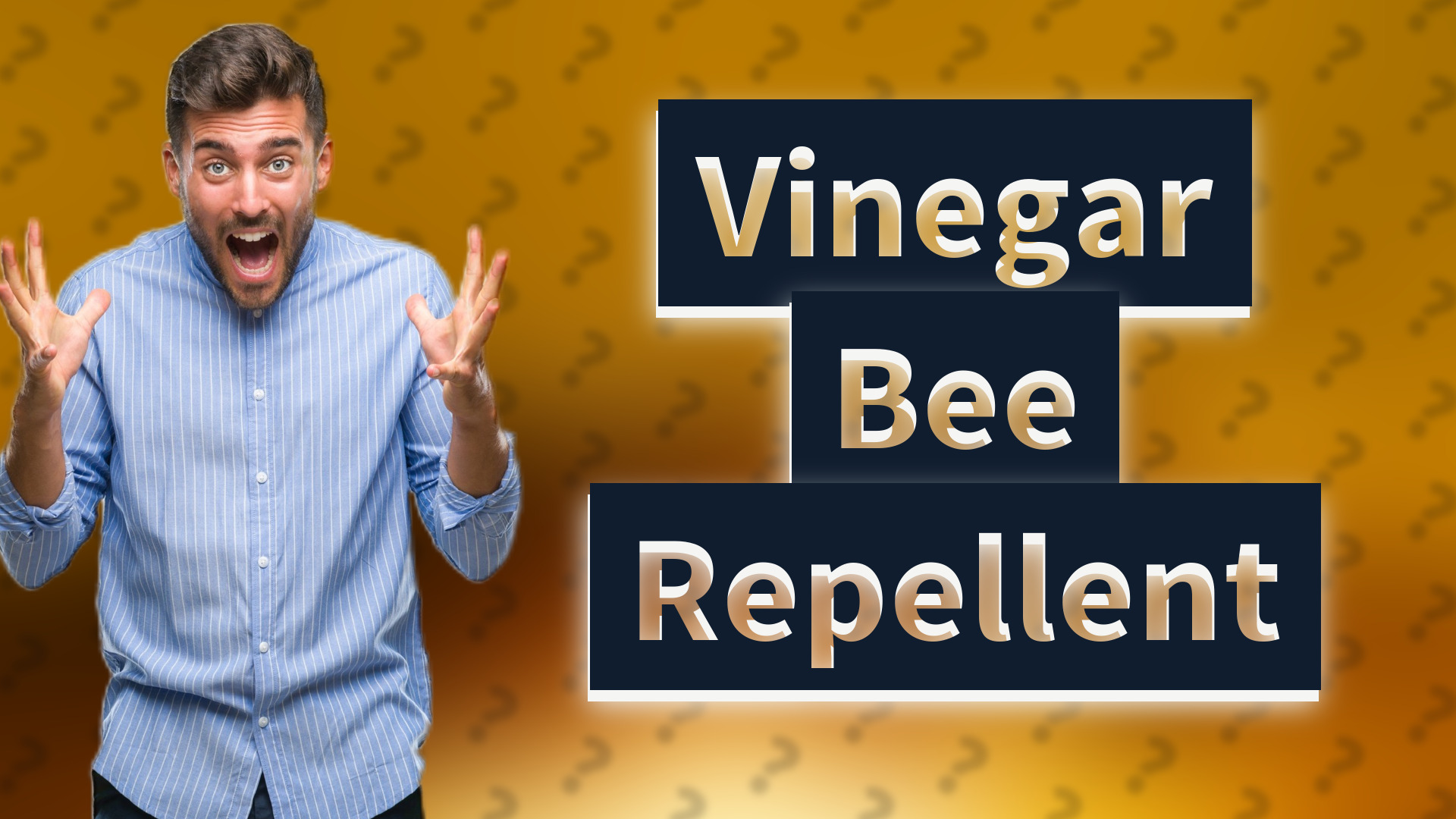Vinegar Bee Repellent