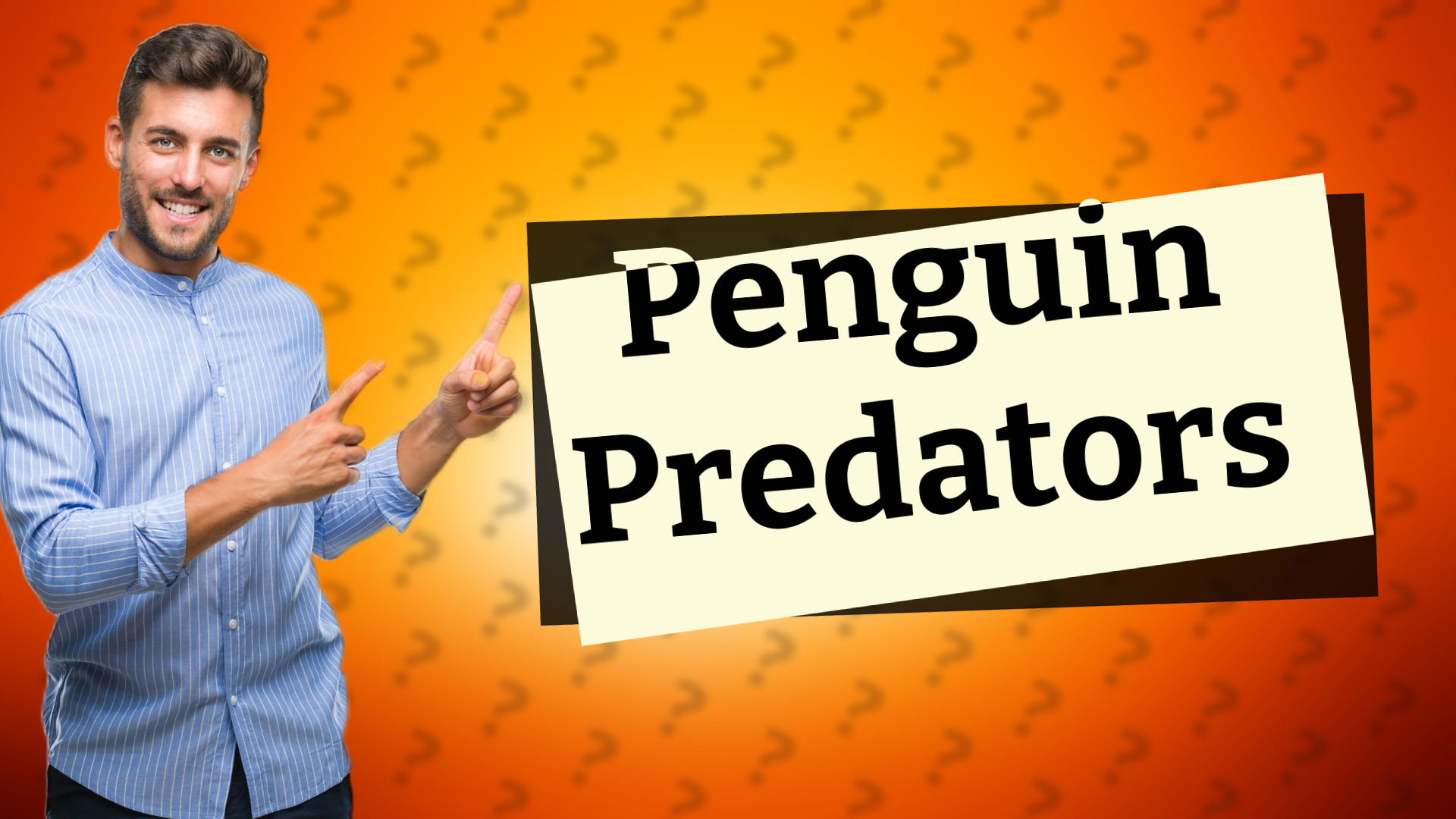 Penguin Predators
