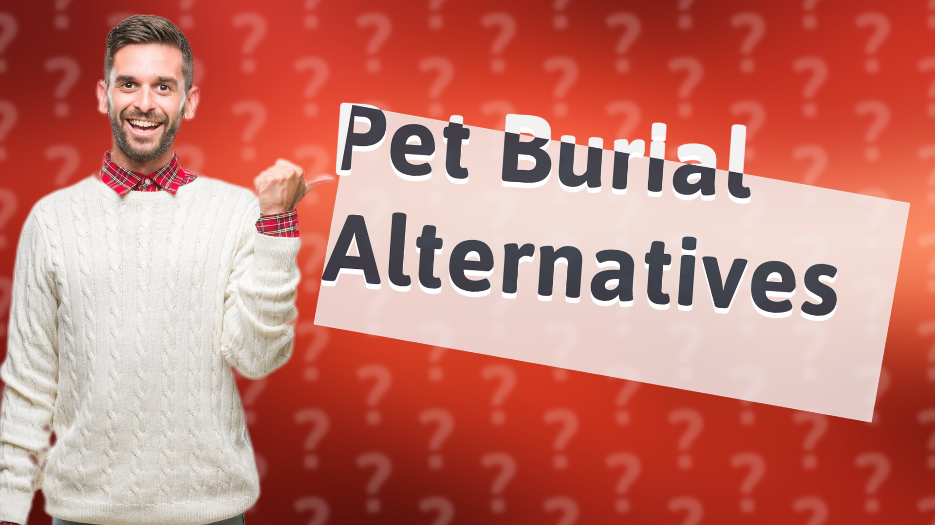 Pet Burial Alternatives