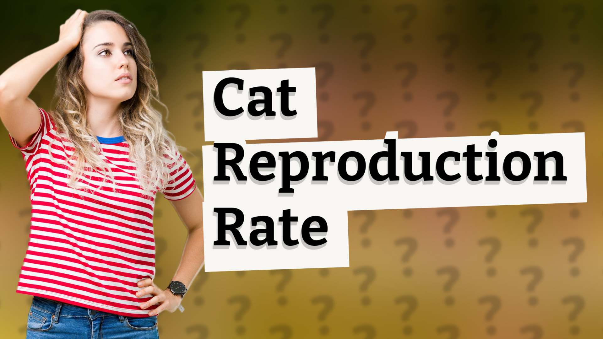 Cat Reproduction Rate