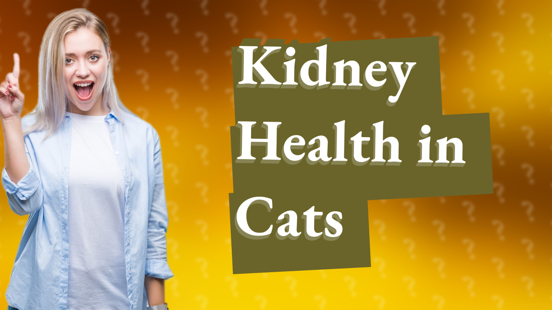 Kidney Health in Cats