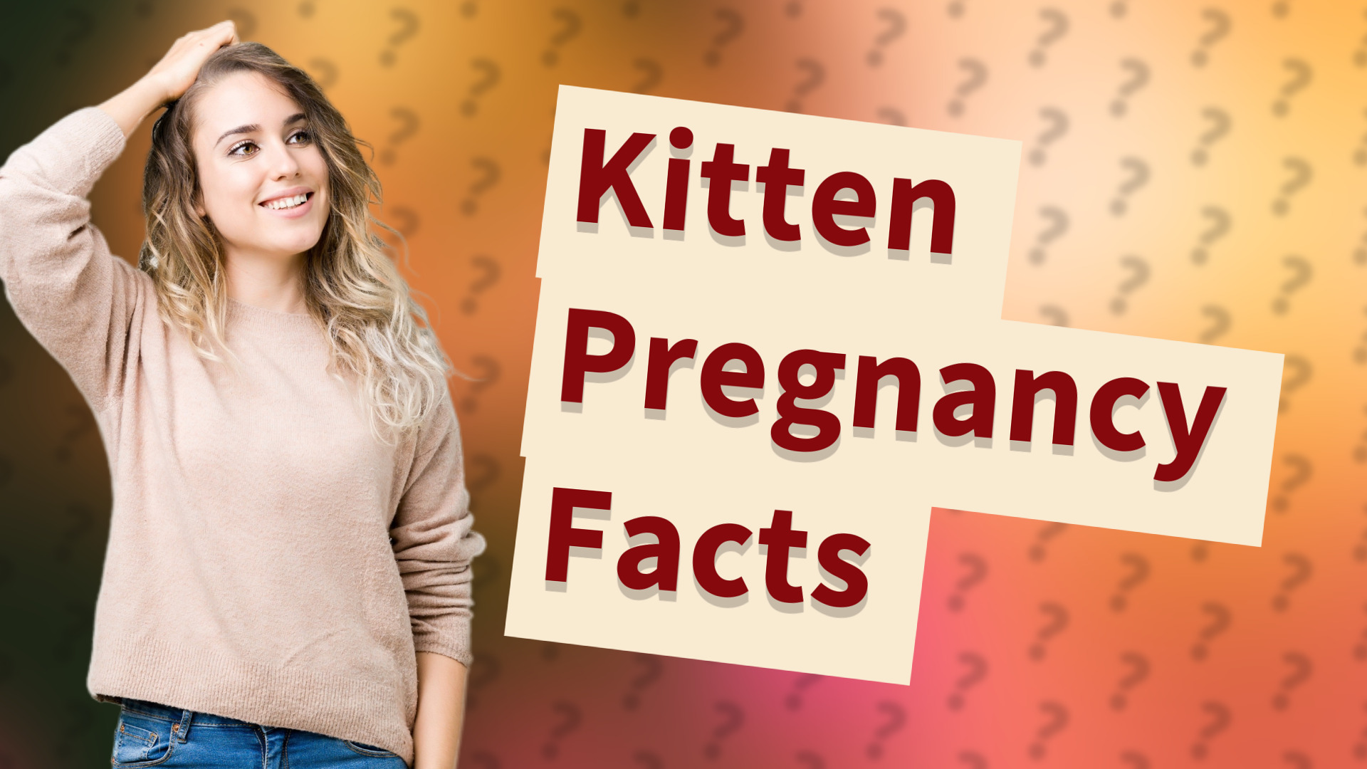 Kitten Pregnancy Facts