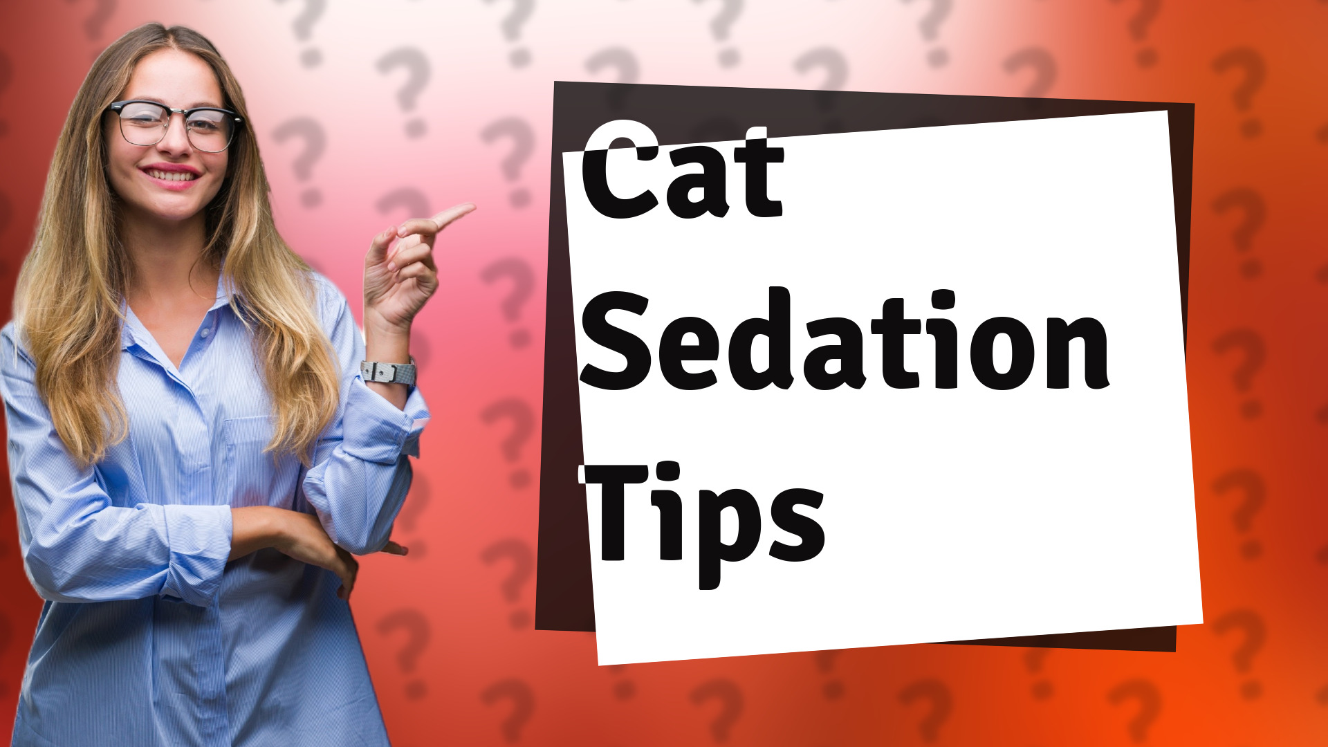 Cat Sedation Tips