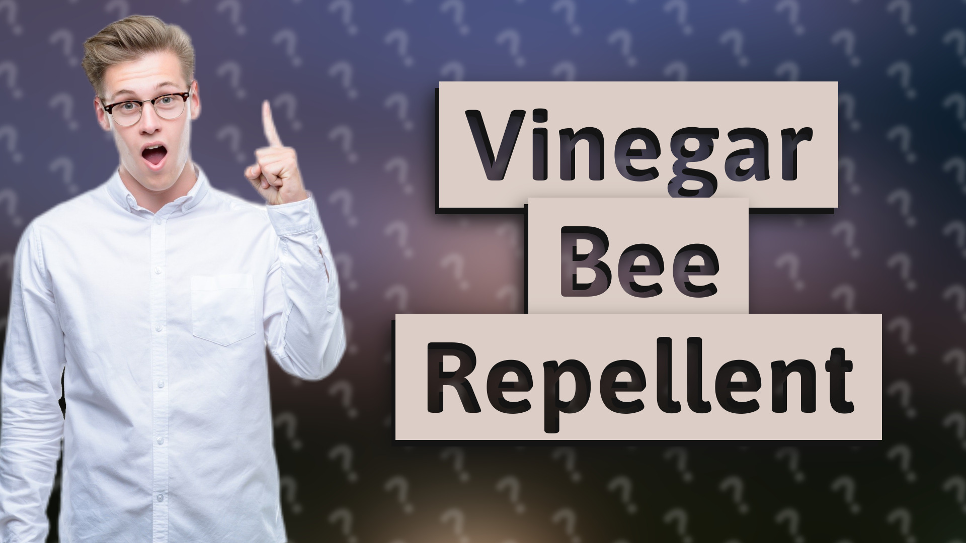 Vinegar Bee Repellent