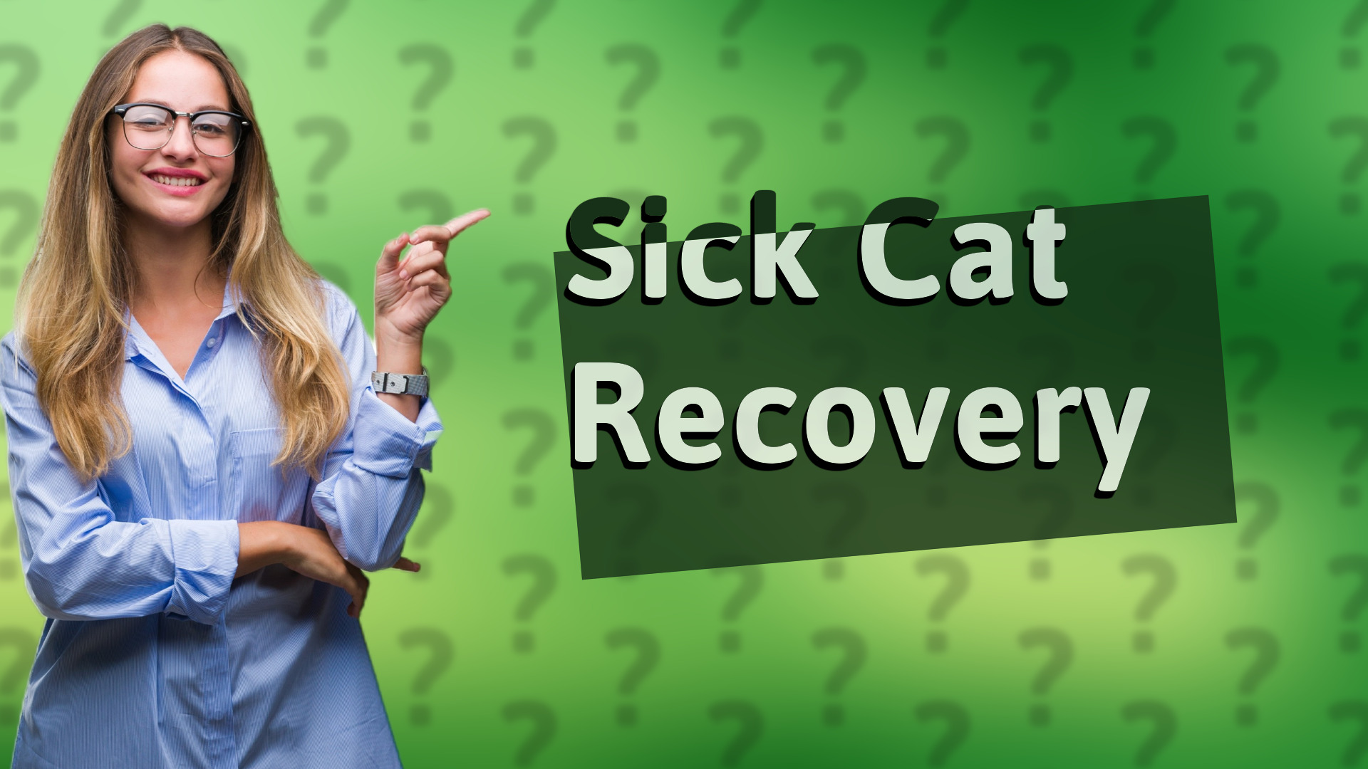 Sick Cat Recovery