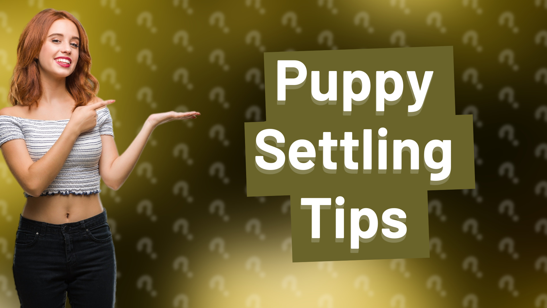 Puppy Settling Tips