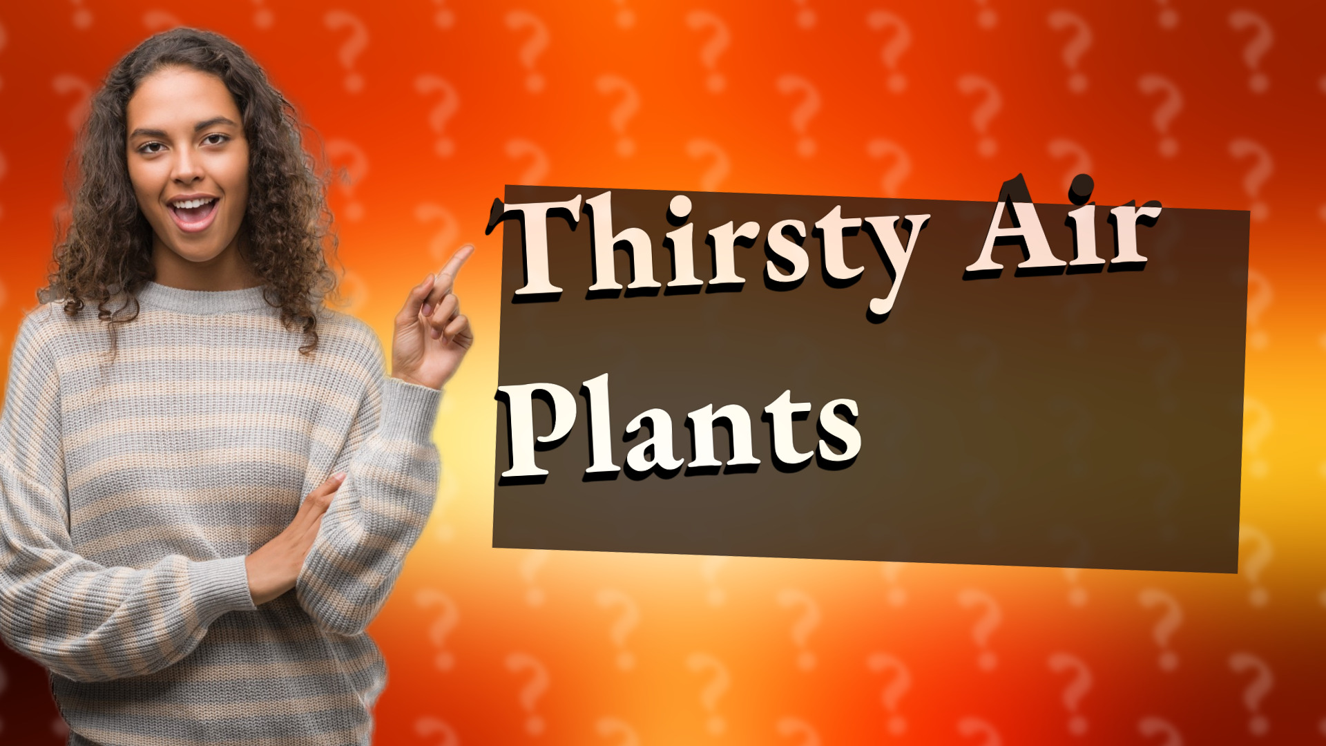Thirsty Air Plants