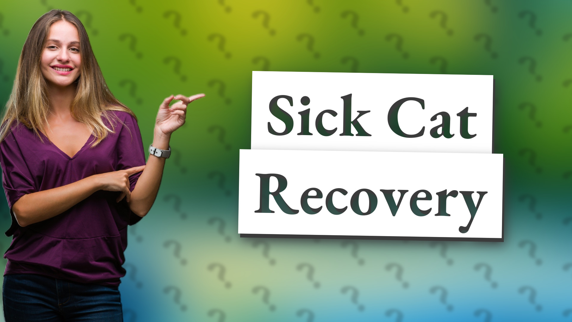 Sick Cat Recovery