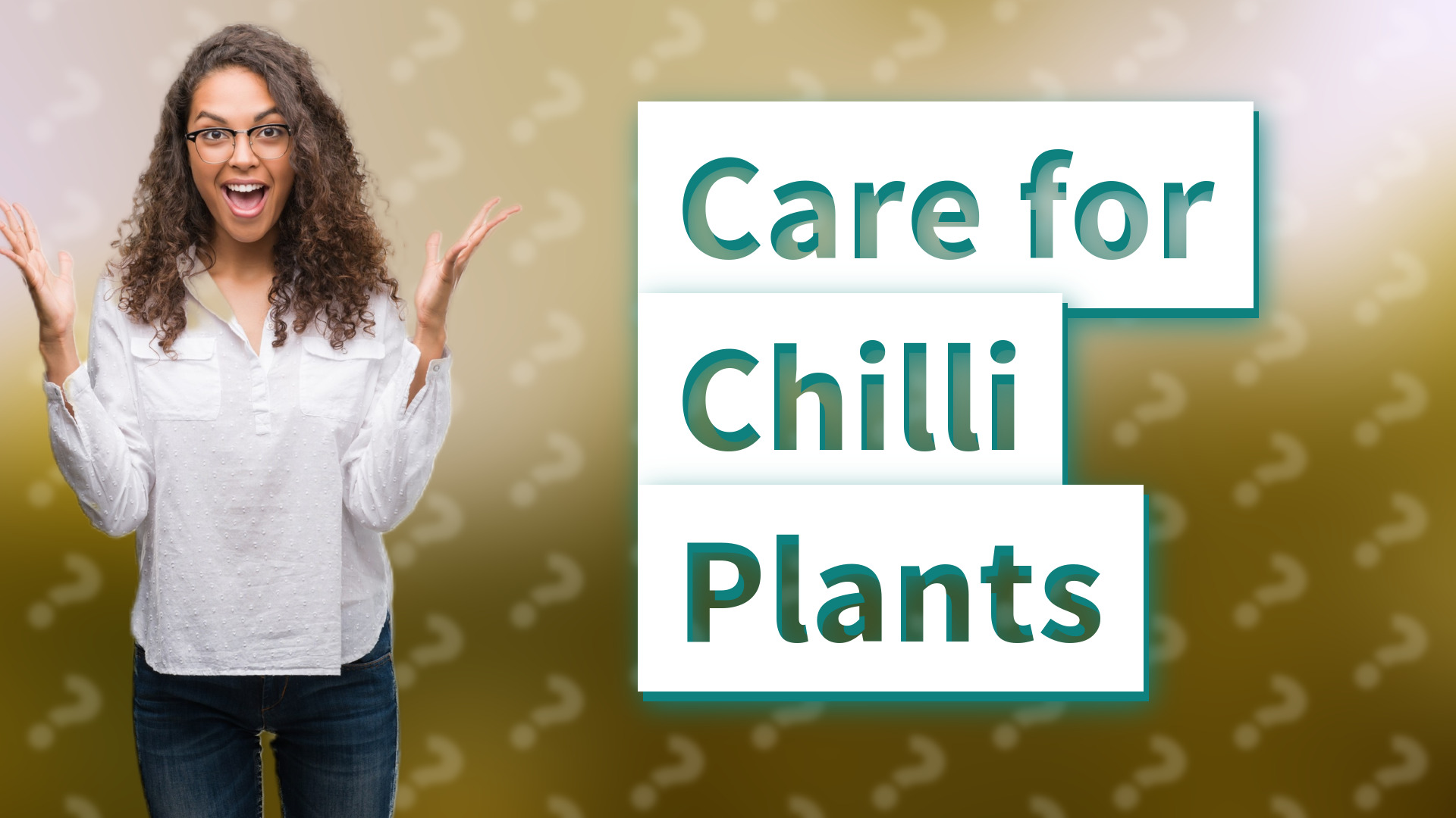 Care for Chilli Plants
