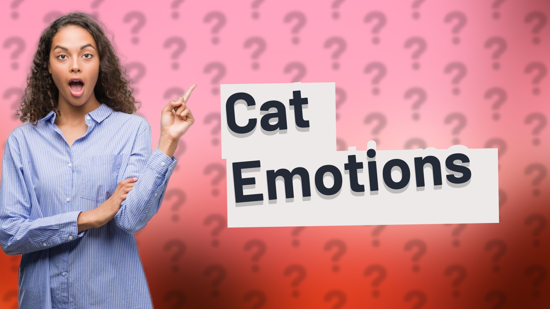Cat Emotions