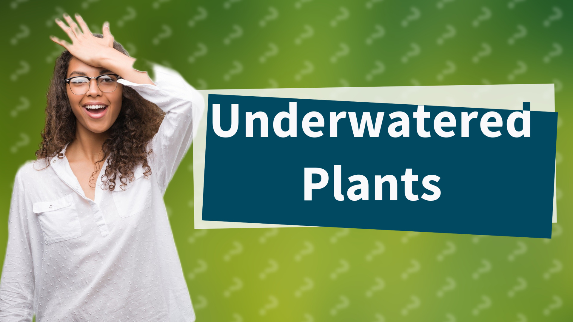Underwatered Plants