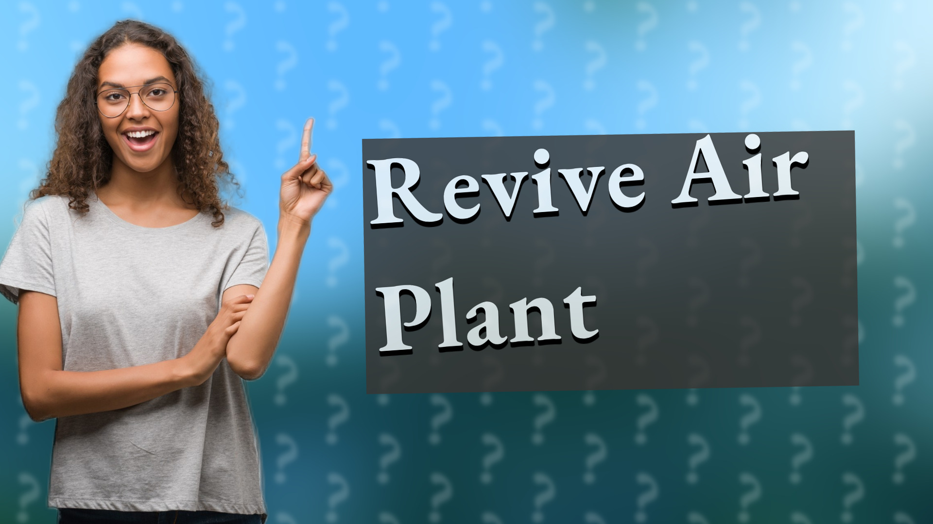 Revive Air Plant