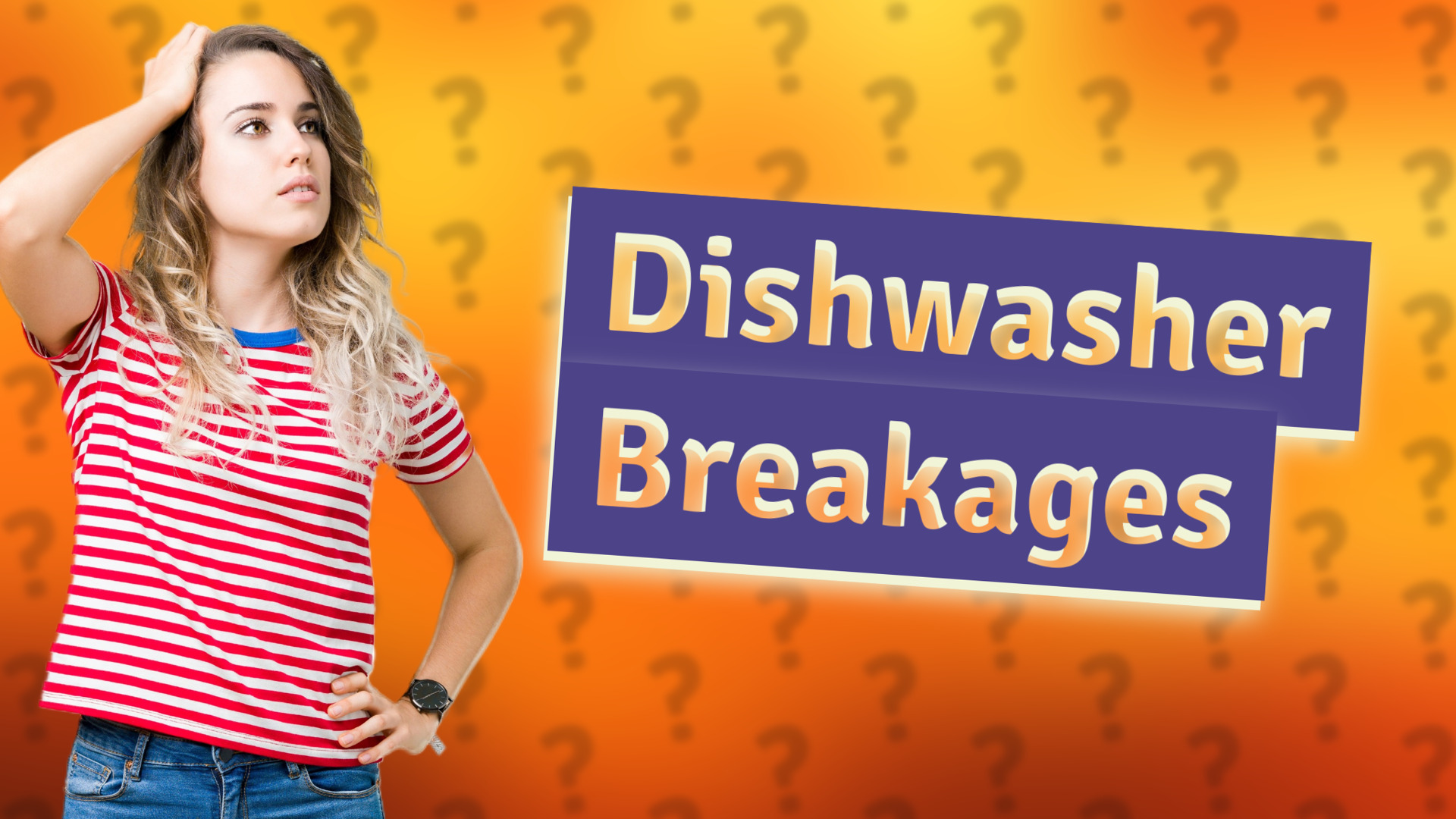 Dishwasher Breakages