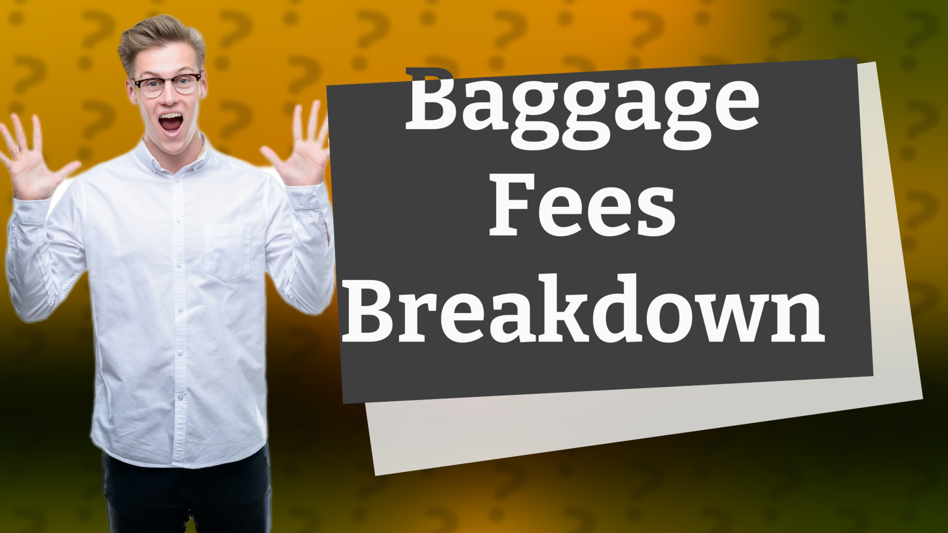 Baggage Fees Breakdown