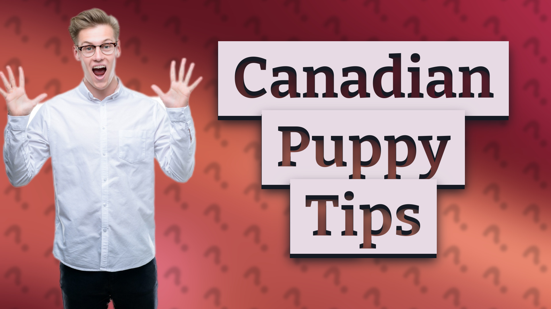 Canadian Puppy Tips
