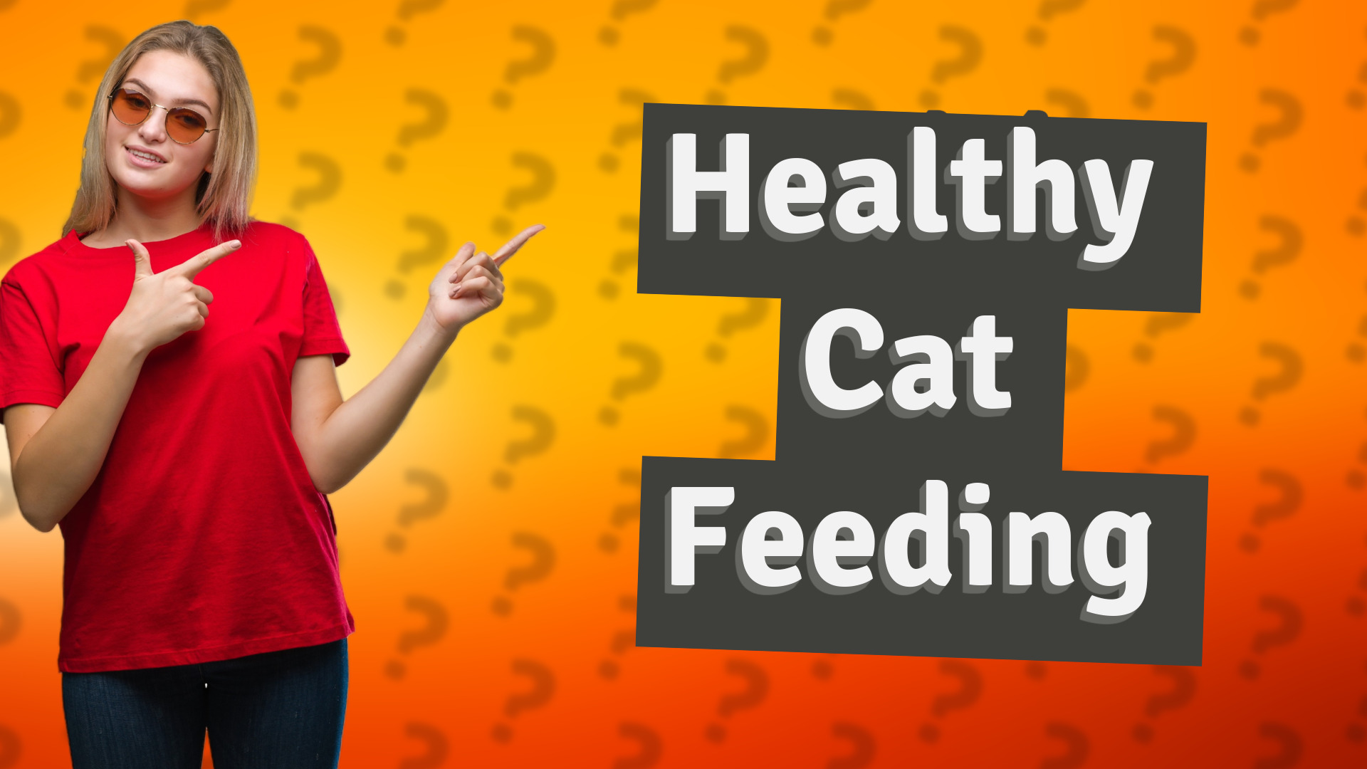 Healthy Cat Feeding