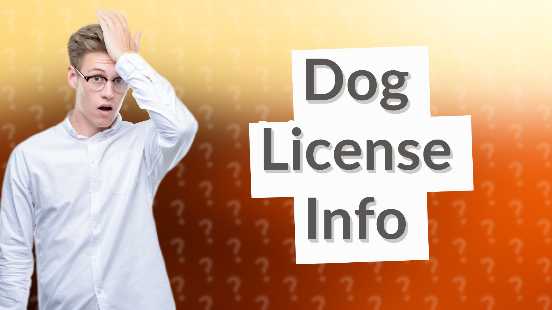 Dog License Info