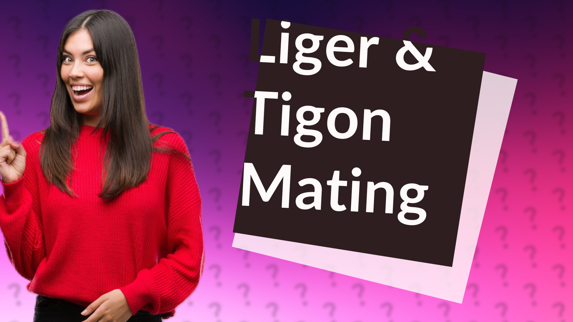 Liger & Tigon Mating