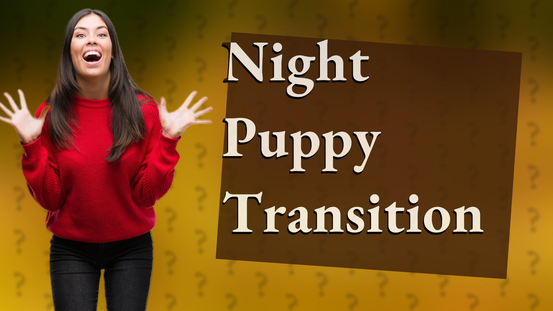 Night Puppy Transition