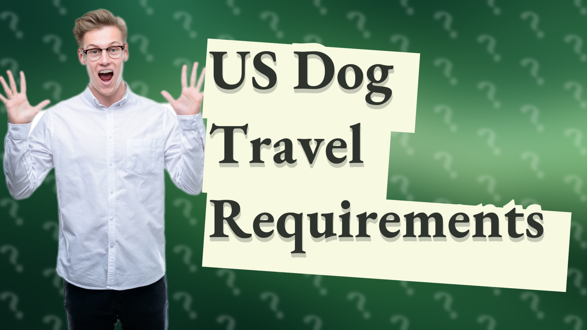 US Dog Travel Requirements