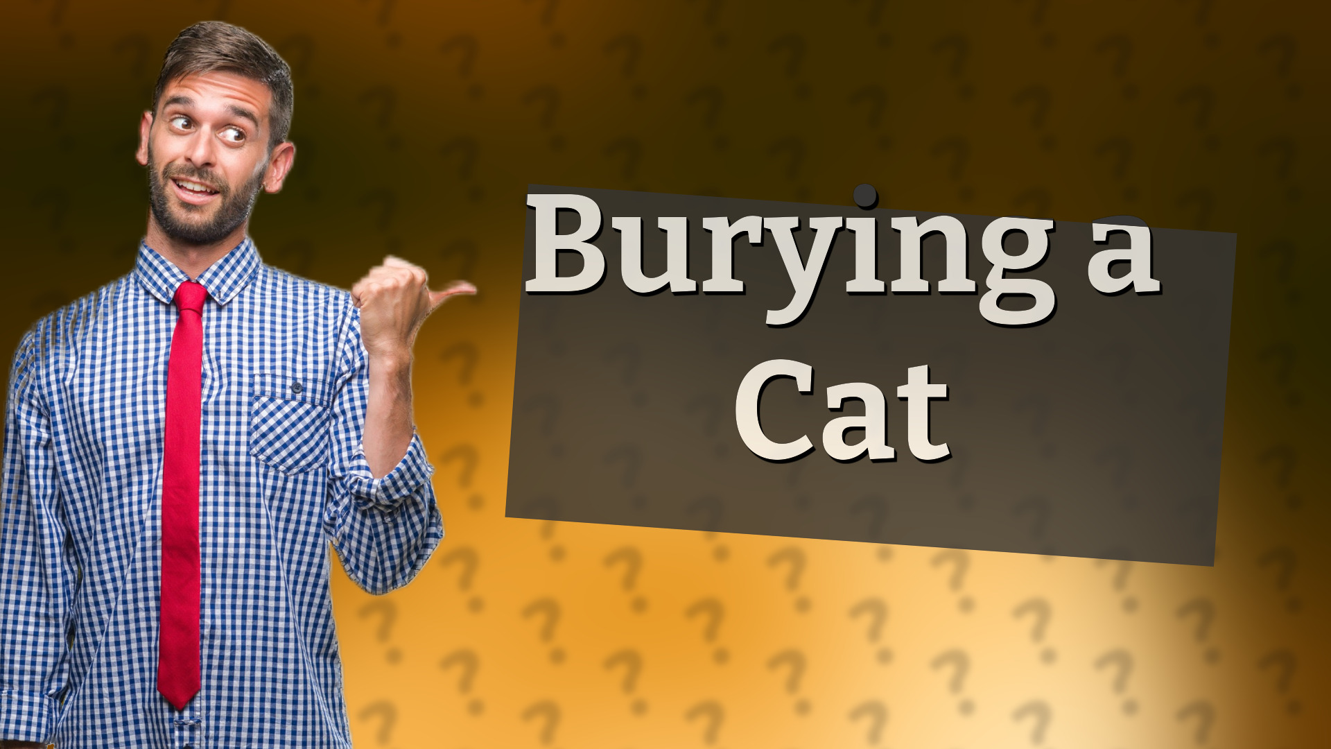Burying a Cat