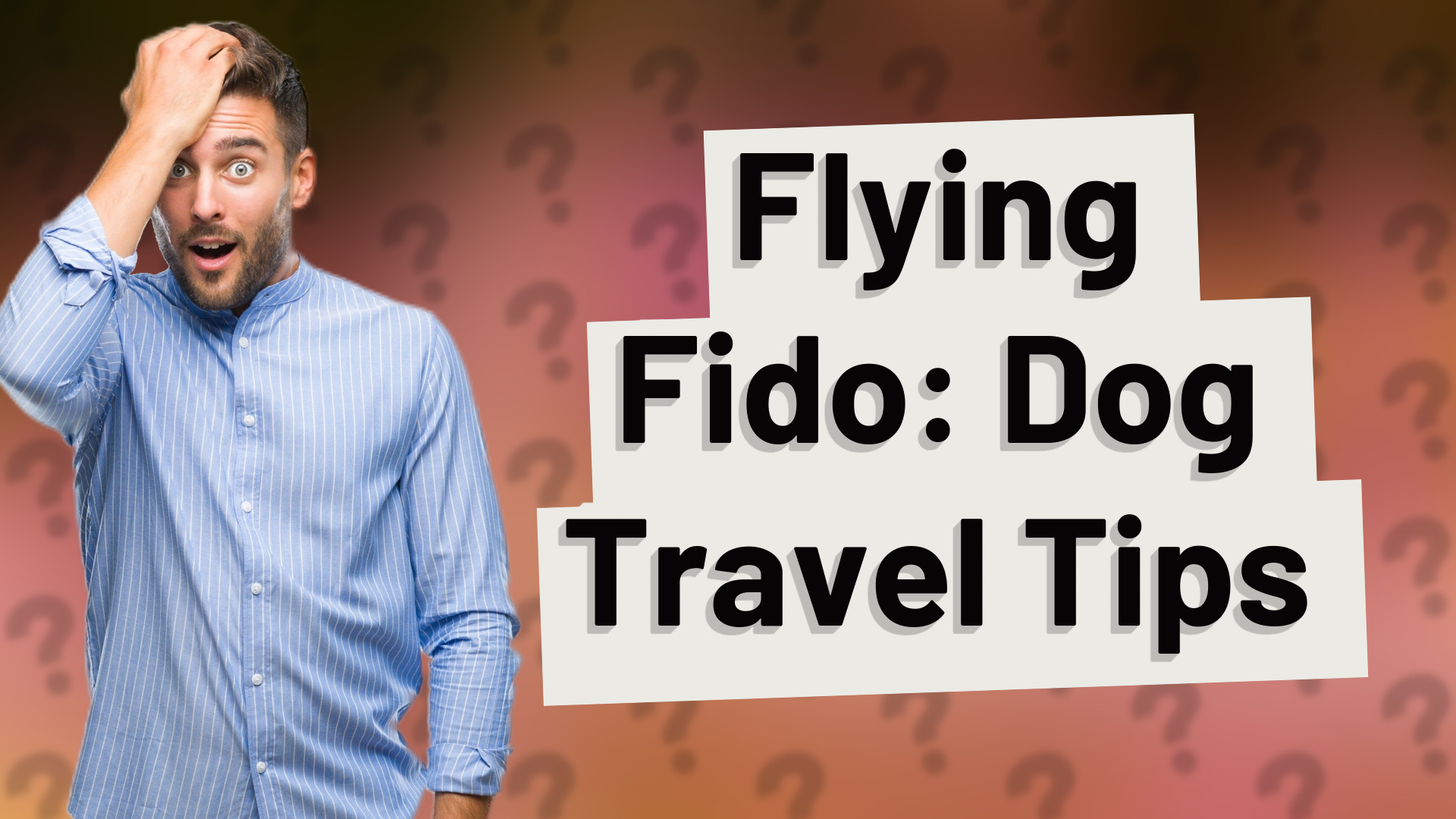 Flying Fido: Dog Travel Tips