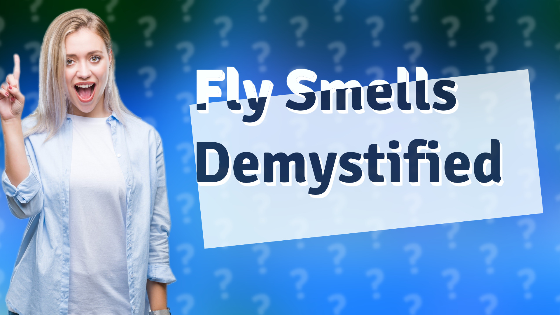 Fly Smells Demystified