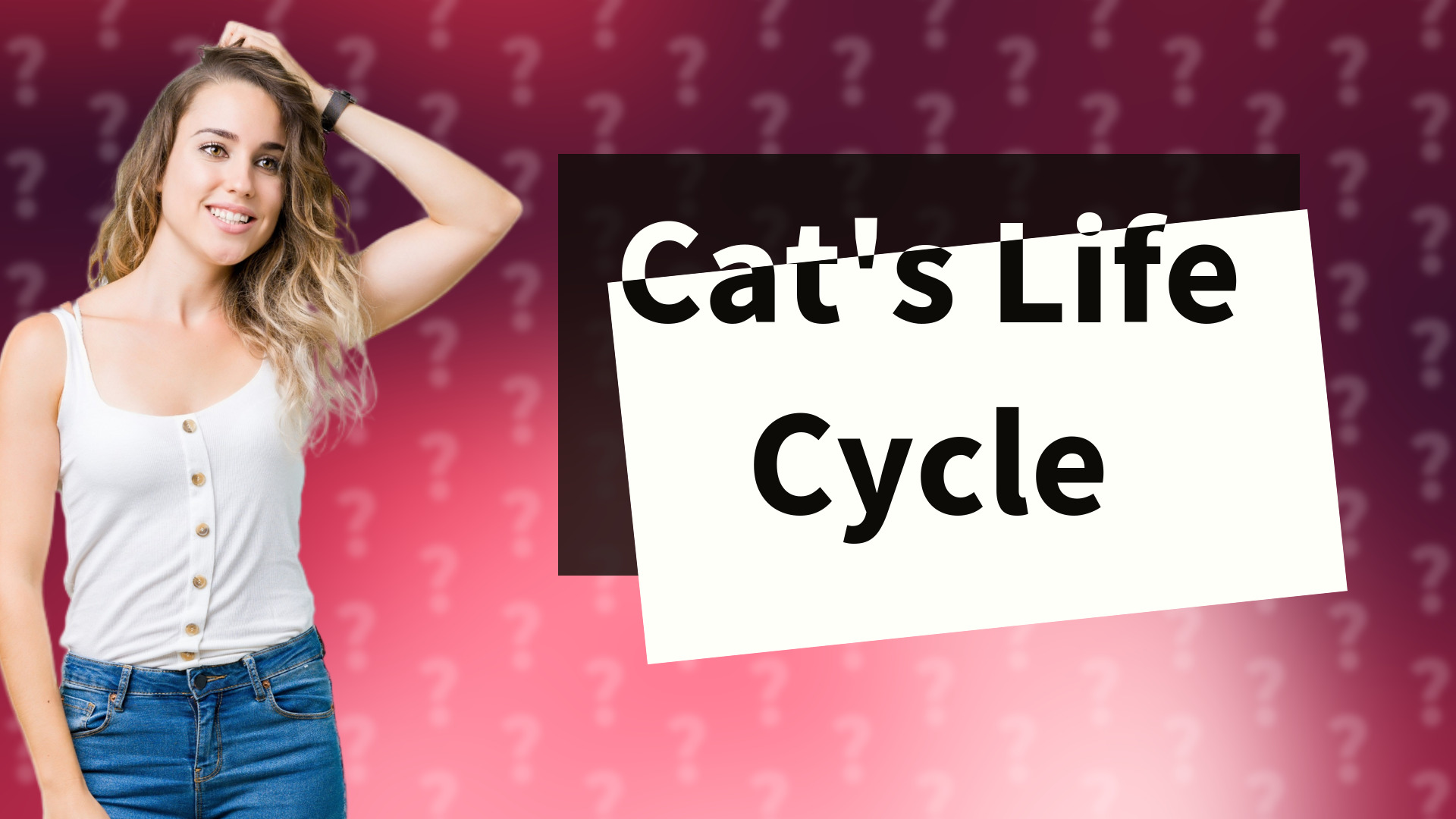 Cat's Life Cycle