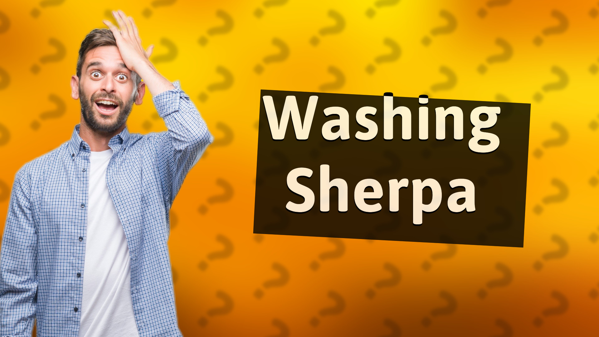 Washing Sherpa
