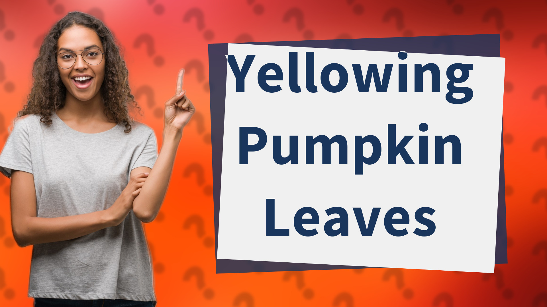 Yellowing Pumpkin Leaves