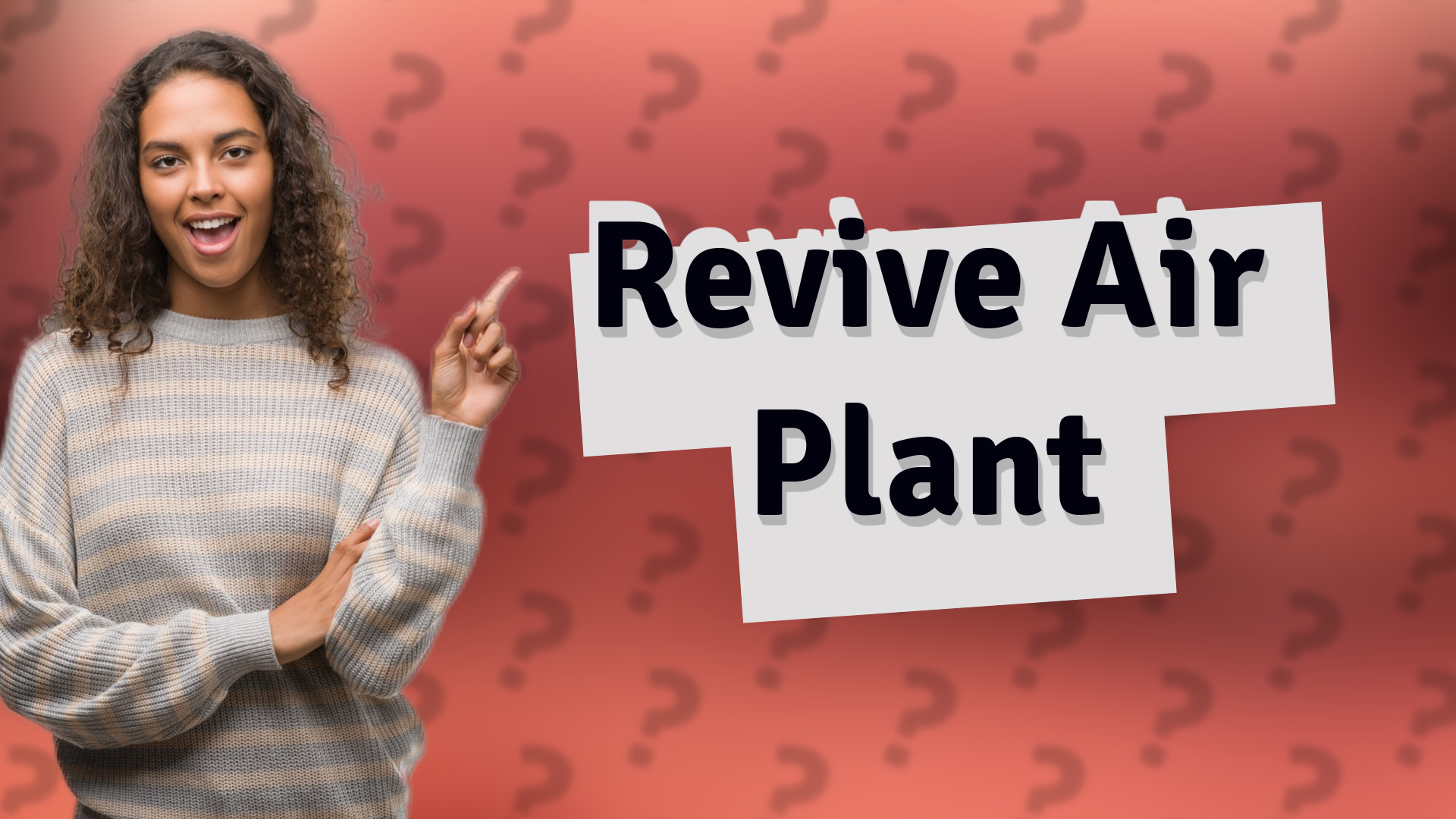 Revive Air Plant