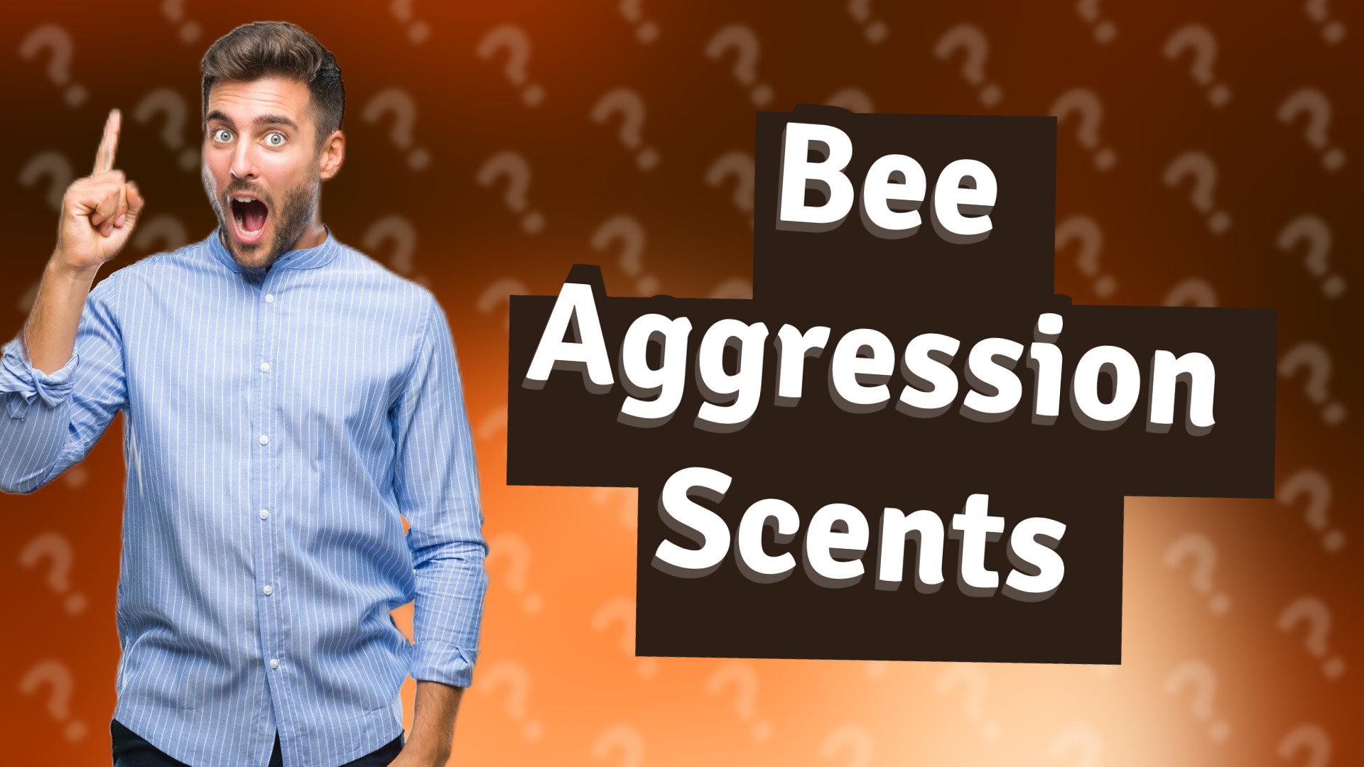 Bee Aggression Scents