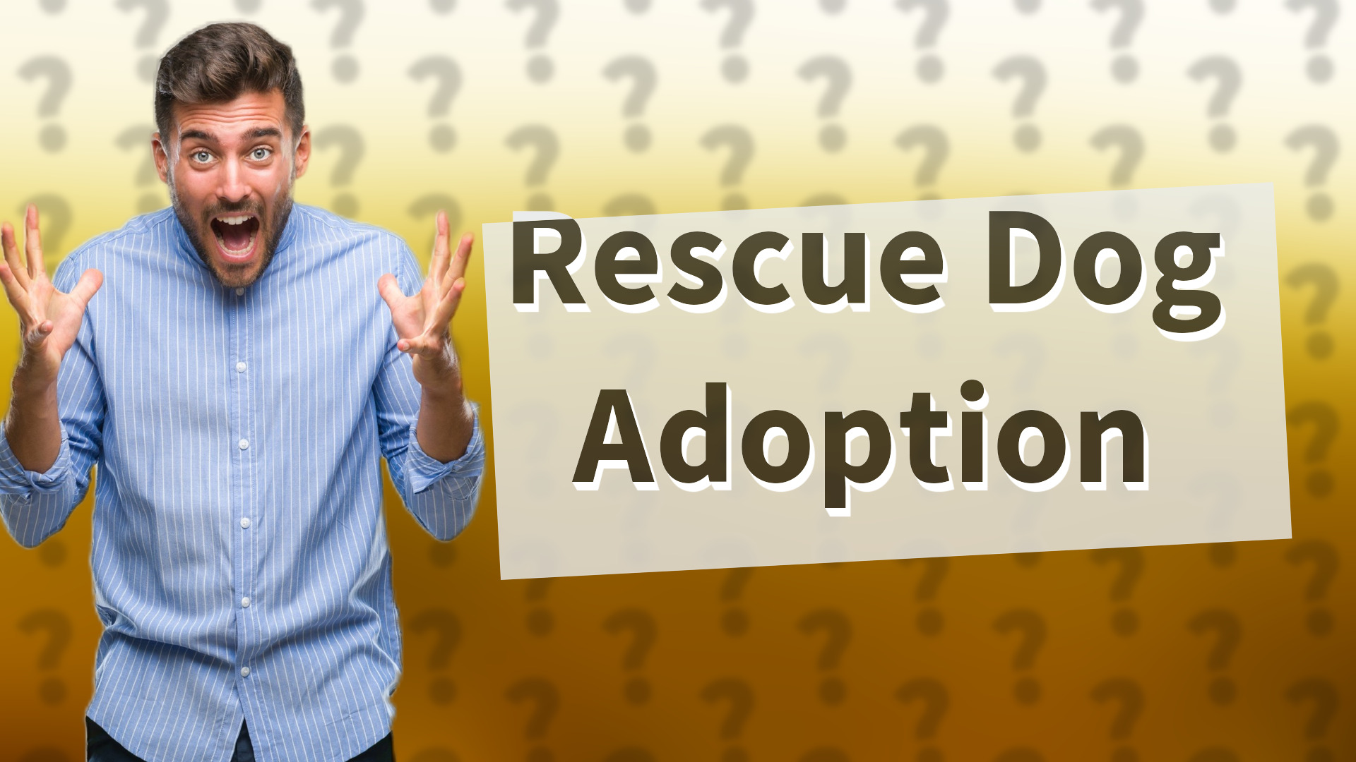 Rescue Dog Adoption