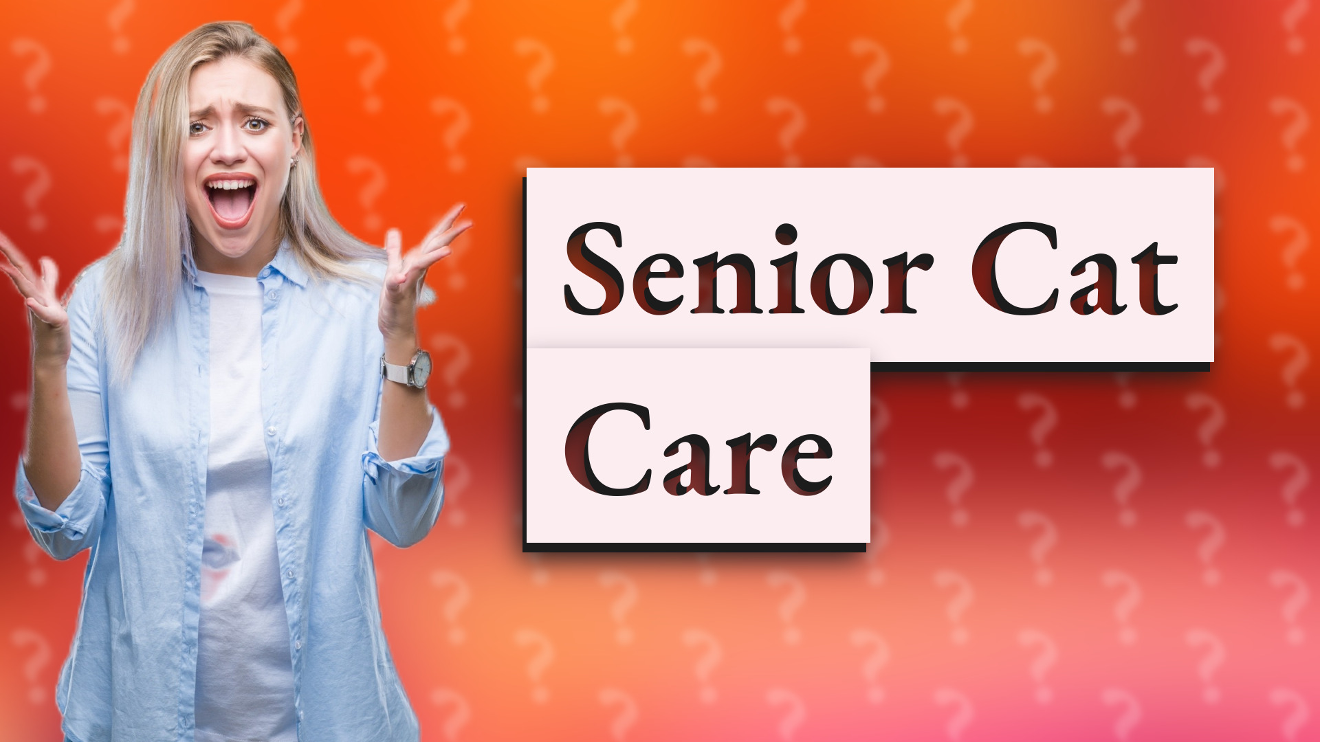 Senior Cat Care