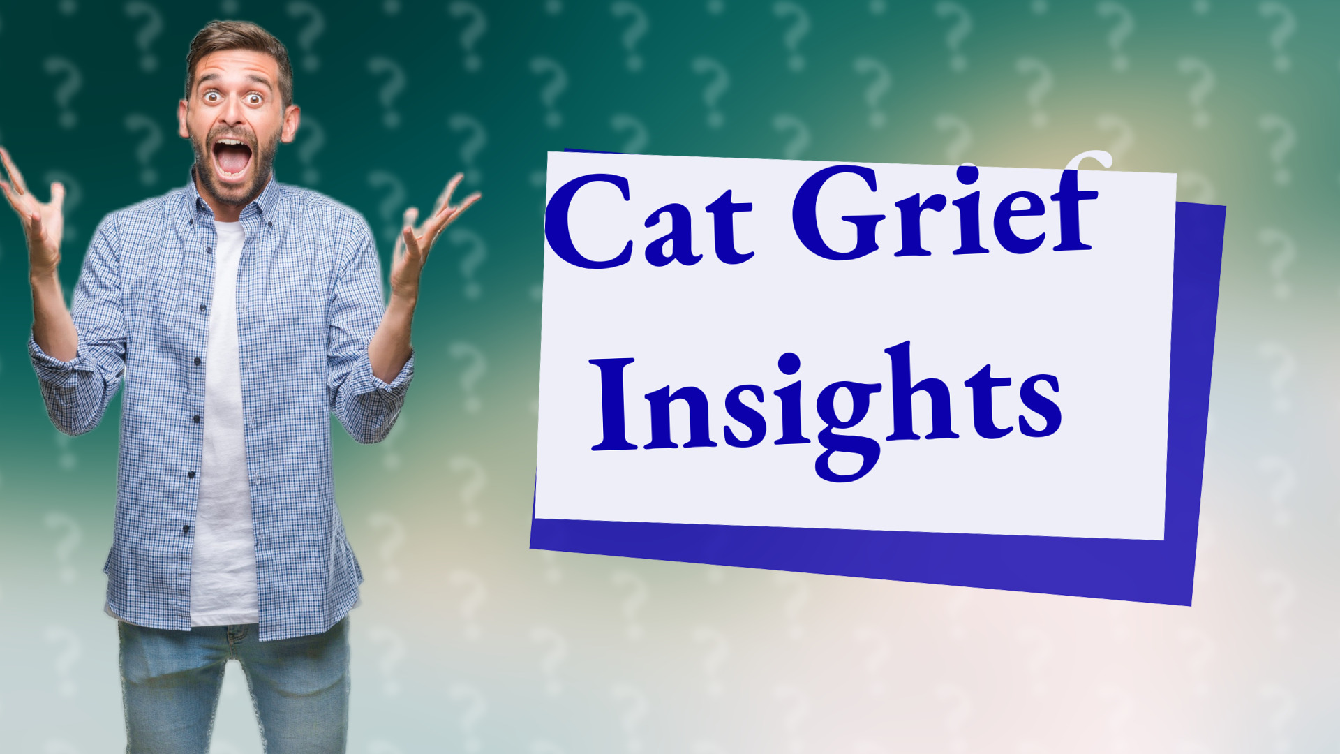 Cat Grief Insights