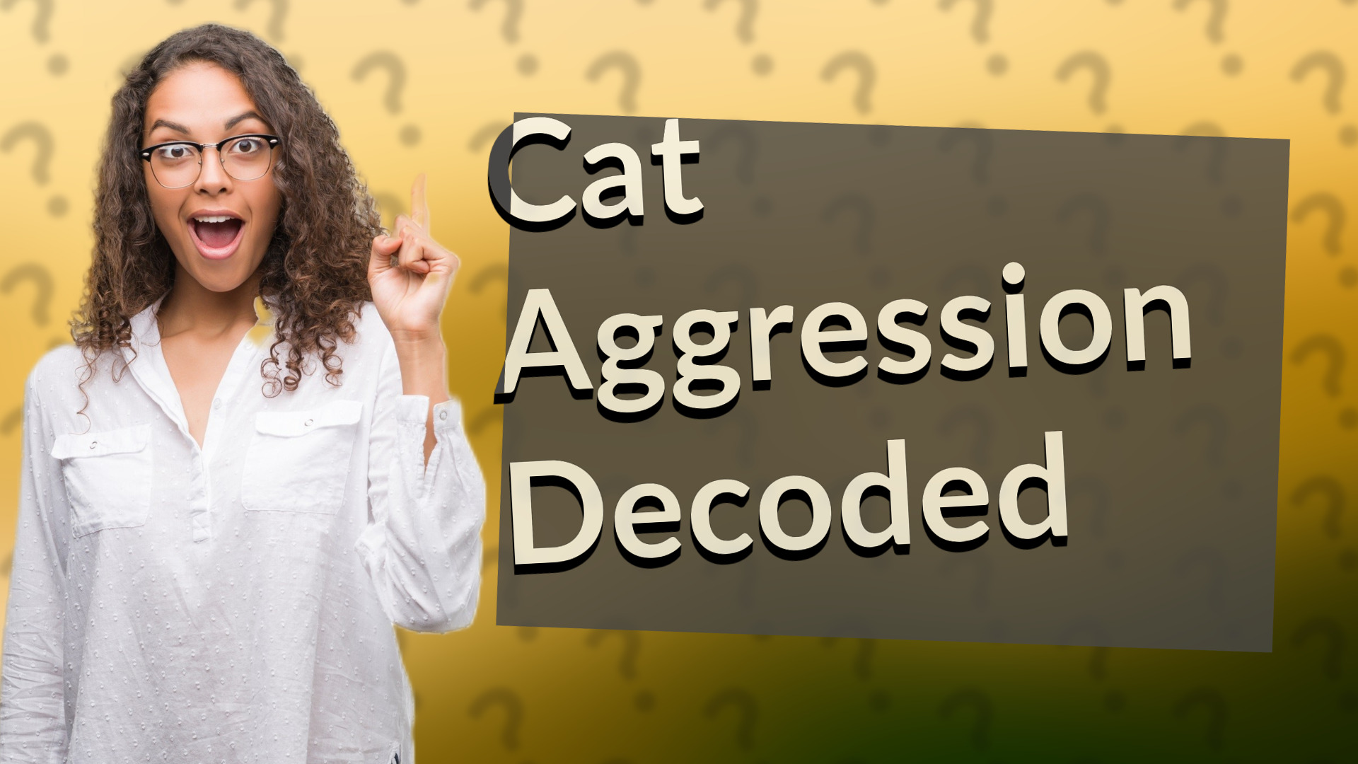 Cat Aggression Decoded