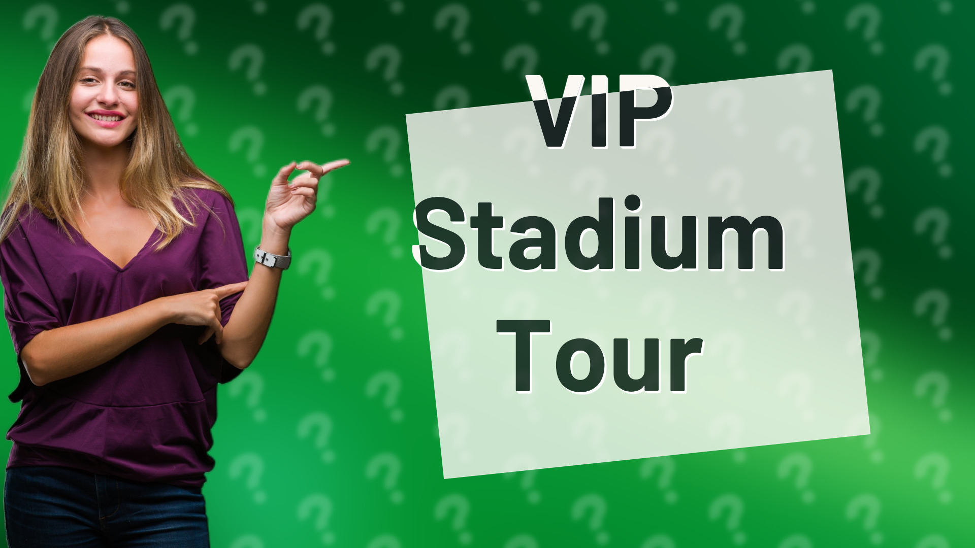 VIP Stadium Tour
