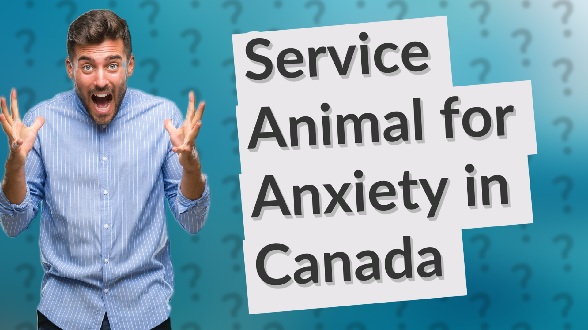 Service Animal for Anxiety in Canada